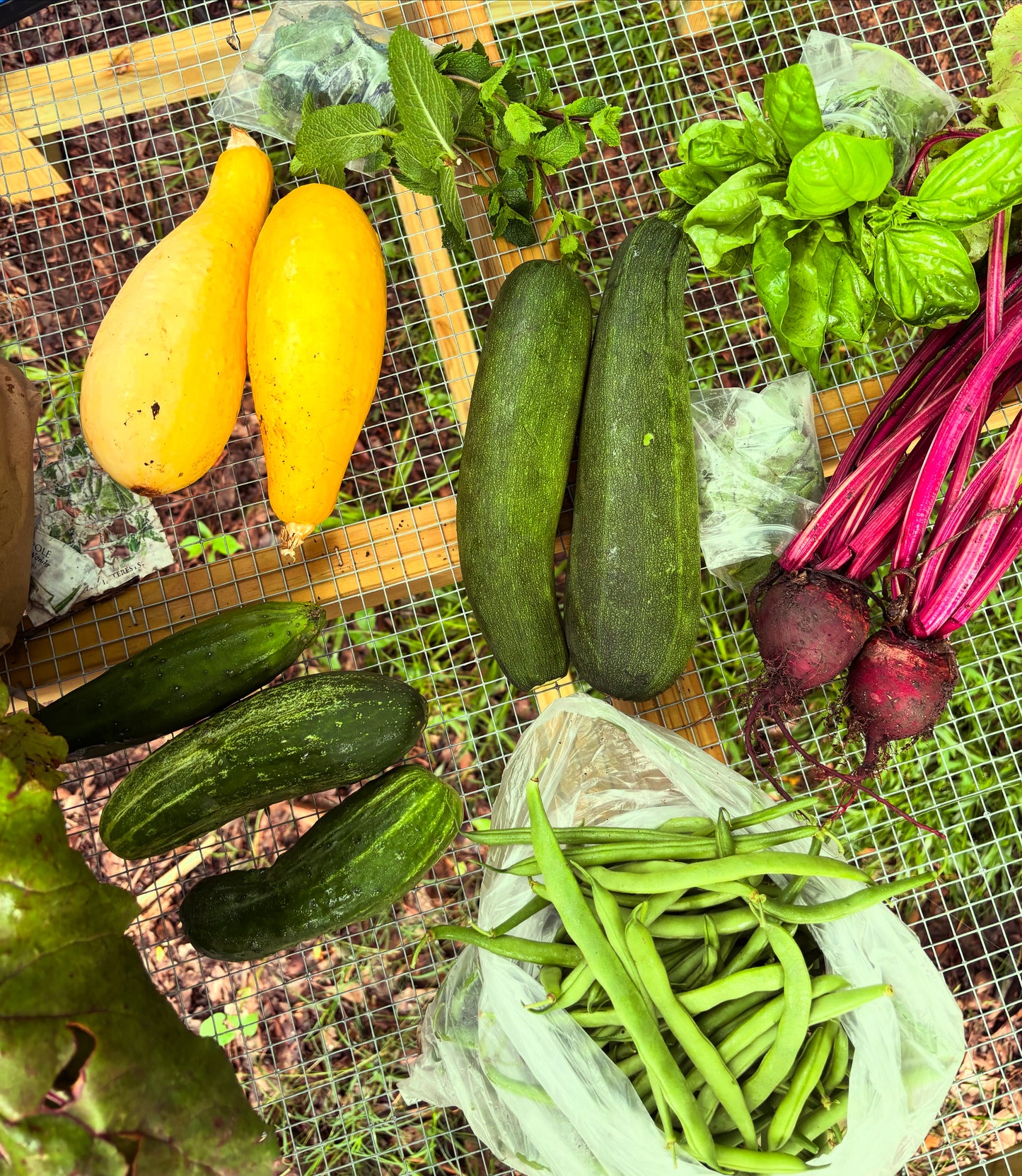 Garden Bundles
