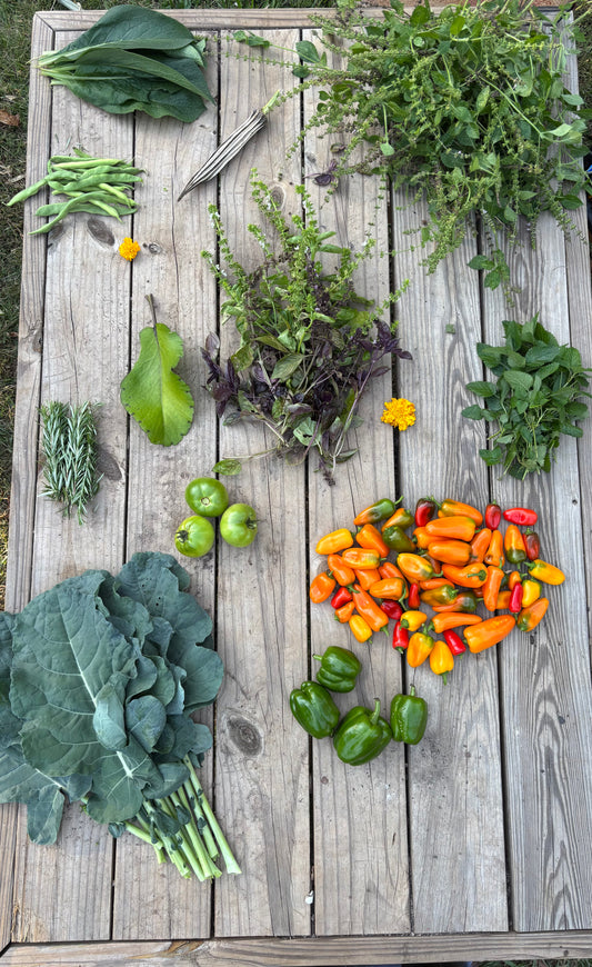 Garden Bundles