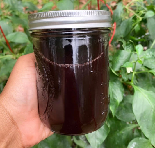 Elderberry Tea