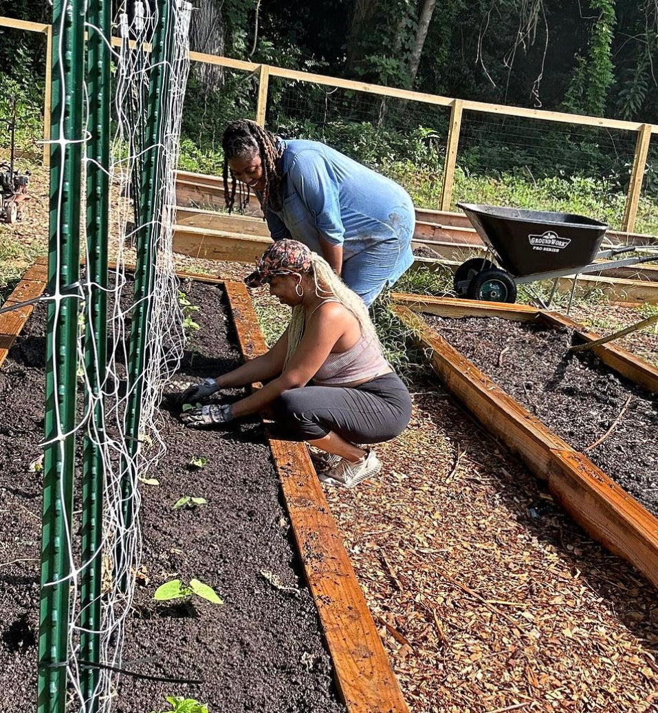 Intro to Herbalism - August 16th