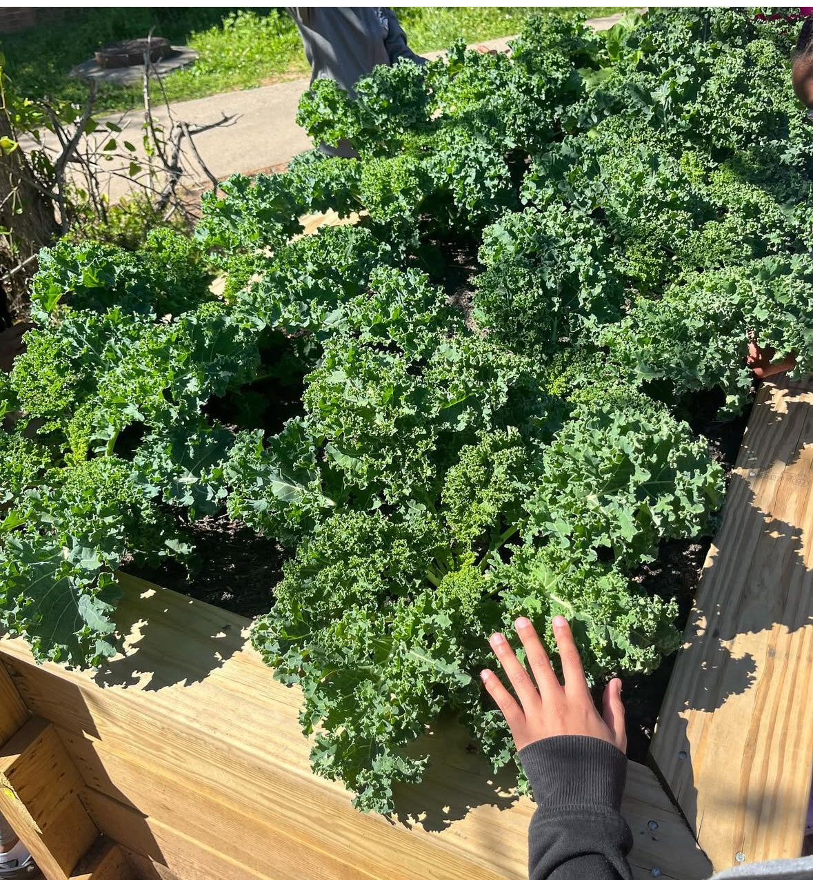 Produce Bundles