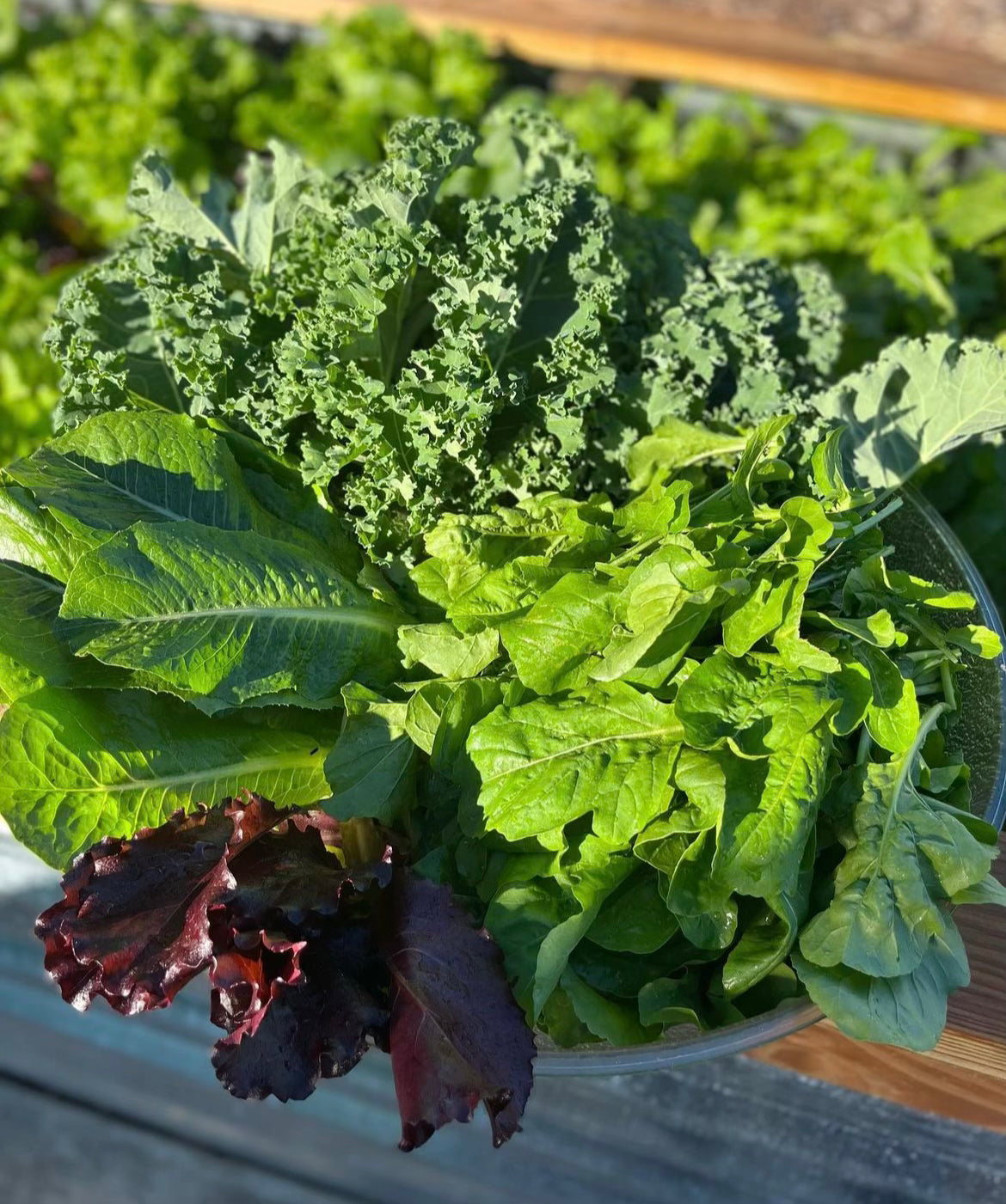 Garden Bundles