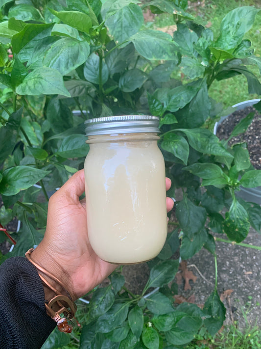 Wild Crafted Sea Moss Gel