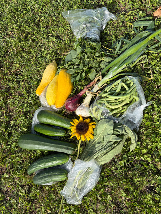 Produce Bundles
