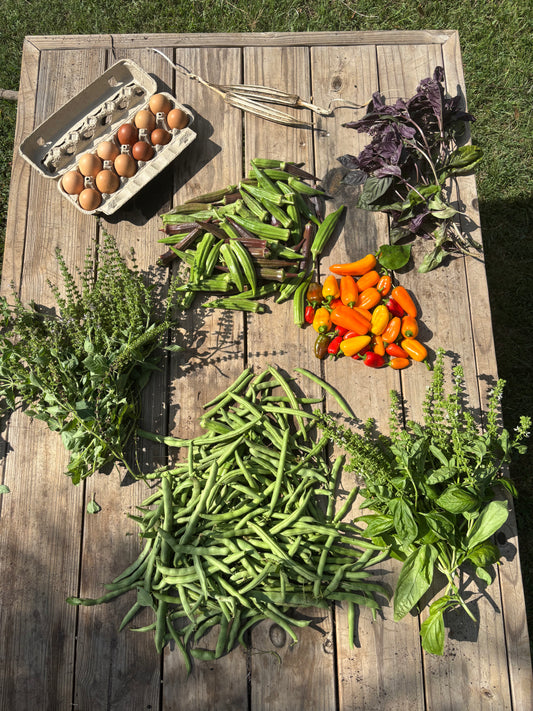 Garden Bundles