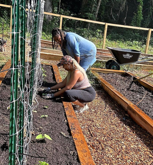 Intro to Herbalism - August 16th